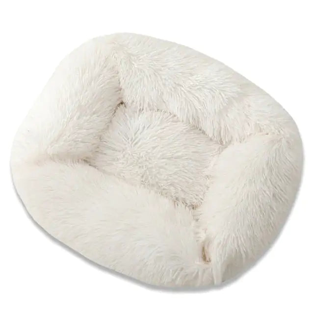 P41QEjydjqq67xP.webp